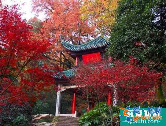 2020長(zhǎng)沙岳麓山游玩攻略 岳麓山楓葉什么時(shí)候變紅？