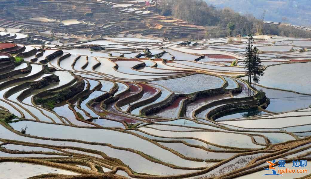 云南滇東南六日游怎么玩，云南滇東南六天自由行指南，云南滇東南六日游路線推薦？