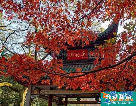 2020長(zhǎng)沙岳麓山游玩攻略 岳麓山楓葉什么時(shí)候變紅？