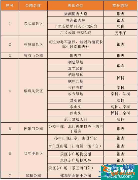 南京銀杏樹(shù)哪里最好看？