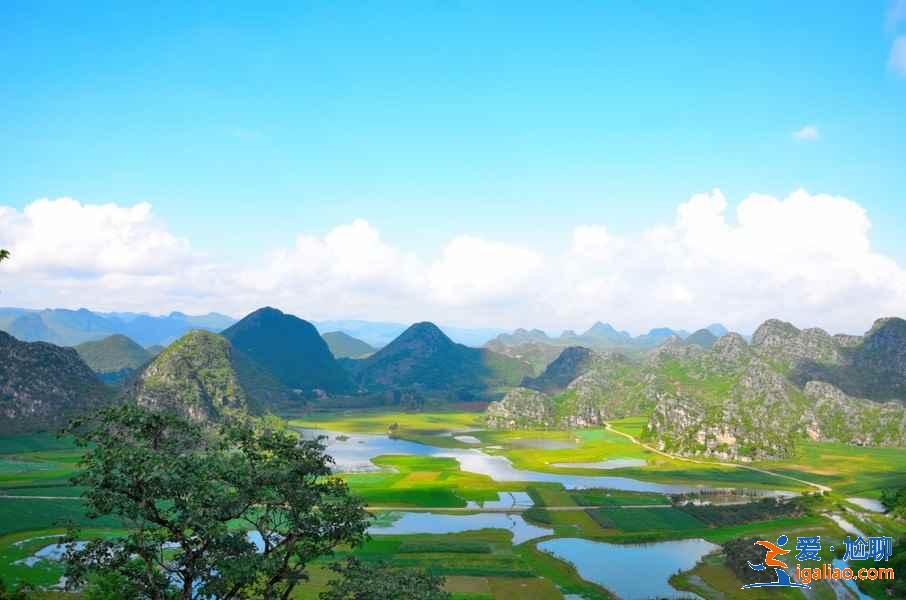云南文山哪里好玩，云南文山旅游景點(diǎn)有哪些，云南文山旅游景點(diǎn)大全？