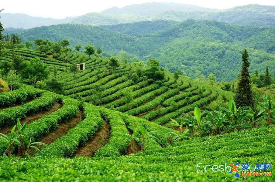 【云南免費景區(qū)名單】盤點云南各地免費景點？