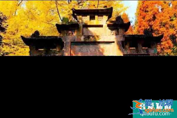 2020都江堰靈巖寺銀杏什么時候黃？