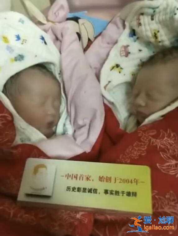 解說試管嬰兒能包生男孩嗎（專業(yè)誠信）？
