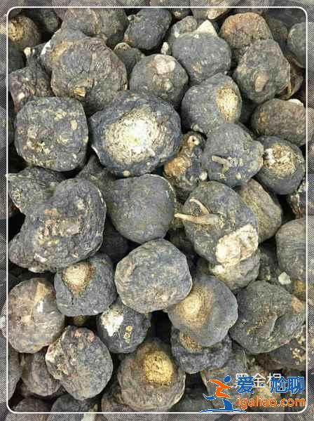 云南黑金根瑪咖怎么吃，云南黑金根瑪咖的作用？