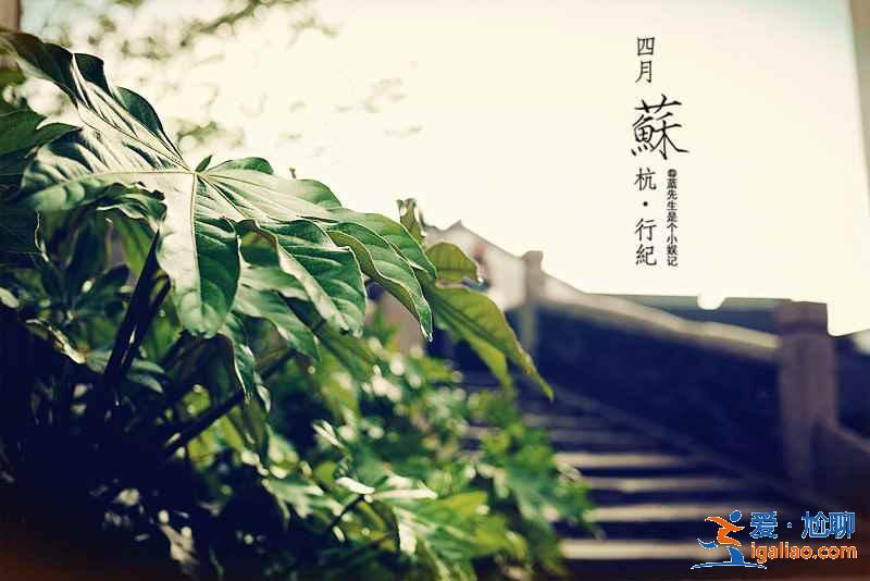 【蘇州二日游怎么玩】蘇州2日游最佳路線，蘇州兩日游攻略？