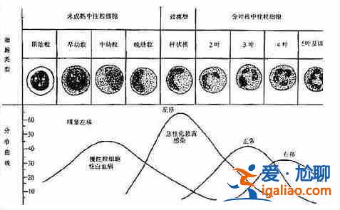 三代試管可以包成功嗎？