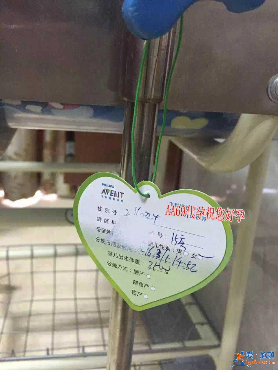 武漢代生男孩子_10天圓夢？