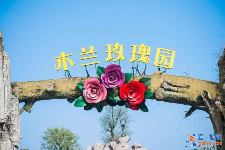 【武漢賞花】武漢賞花去哪里，武漢賞花全年花期表？