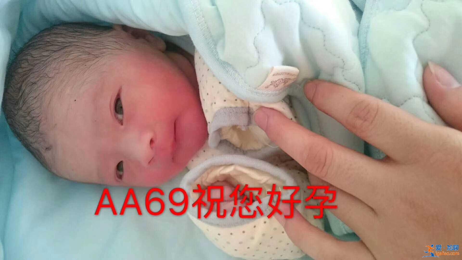 包生男孩 無(wú)效退款，女人吃海馬有助孕嗎？