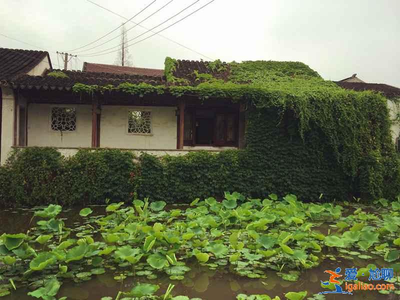 蘇州四大名園哪個好玩，蘇州四大名園哪個好？