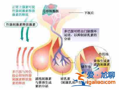 呼和浩特代生中心（權(quán)威醫(yī)療合作）？