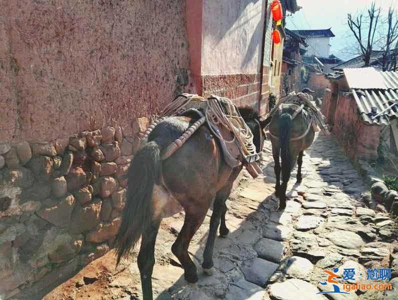 云南古鎮(zhèn)有哪些，云南有什么古鎮(zhèn)？