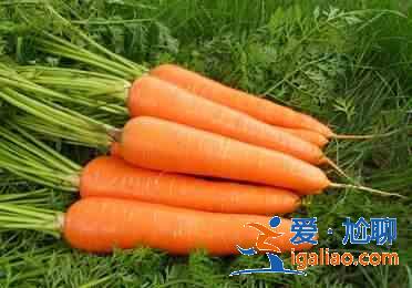 夏天排毒該吃什么？？