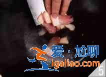 蠶豆香芹炒臘肉的家常做法？