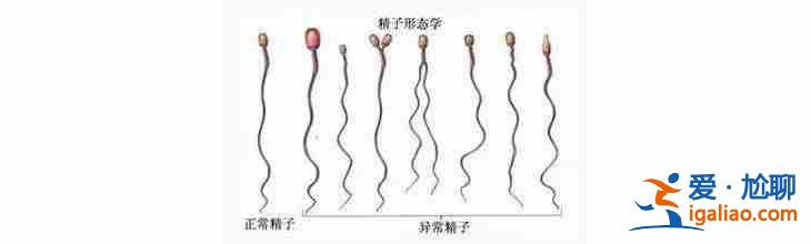 普及西寧最大助孕公司_10天圓夢(mèng)？