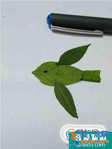 如何制作幼兒園樹葉手工作品？