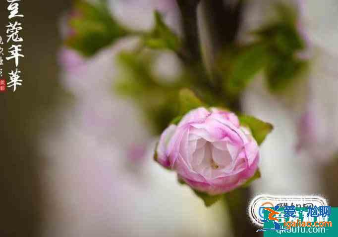 我們古代人在各個(gè)年齡段的稱謂？