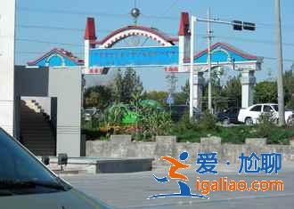 去伊犁買什么好，伊犁有什么特產(chǎn)？