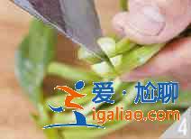 菜心炒豬肝怎么做？？