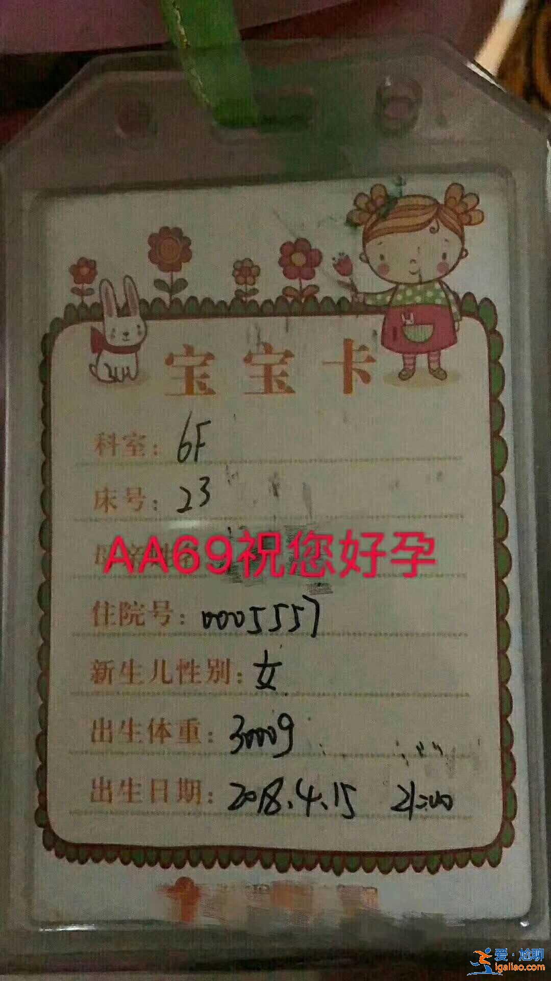 包生男孩包生男孩？