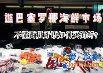 【歐洲機(jī)場免稅店購物指南】歐洲機(jī)場免稅店買什么，歐洲機(jī)場免稅店購物攻略？