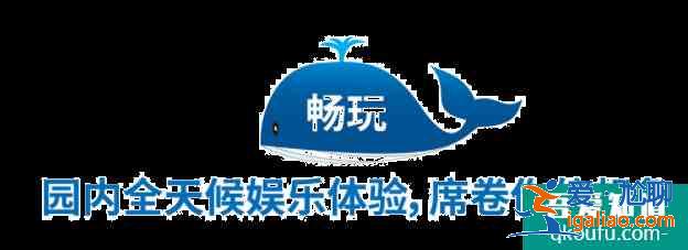 上海海昌海洋公園攻略一日游？