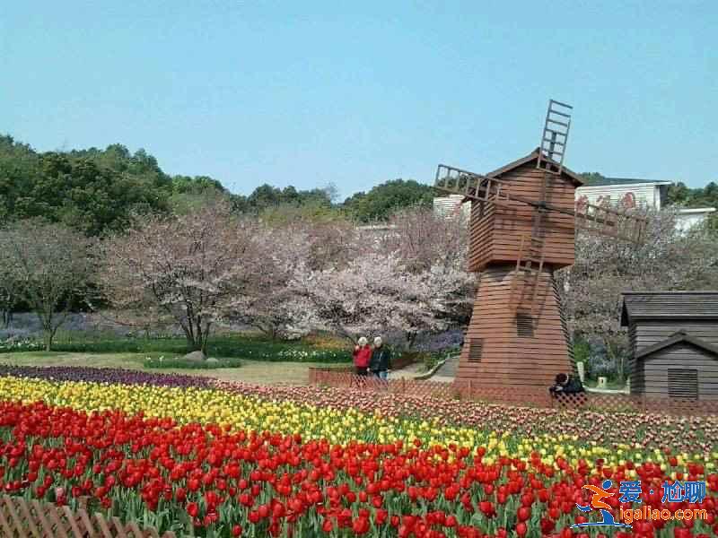 蘇州小眾文藝景點(diǎn)有哪些，蘇州那些出片率超高的景點(diǎn)？