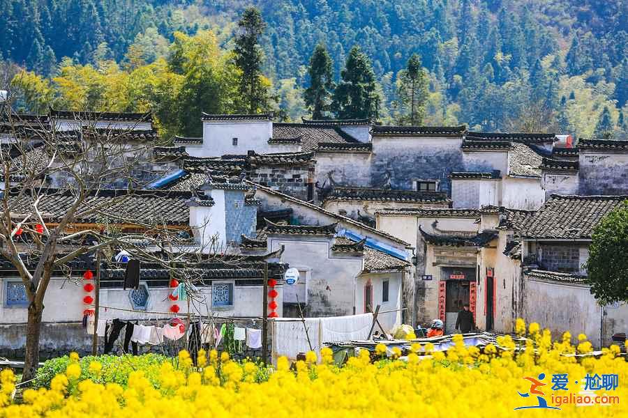 端午去黃山哪里好玩,端午黃山好玩嗎,端午節(jié)黃山旅游攻略? 端午去黃山哪里好玩,端午黃山好玩嗎,端午節(jié)黃山旅游攻略?