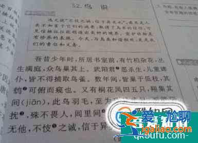 怎么學(xué)好初中語文才能考出好成績？