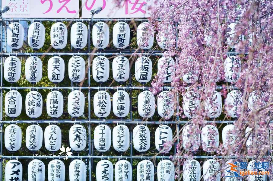 東京上野公園怎么玩，東京上野公園景點，東京上野公園攻略？