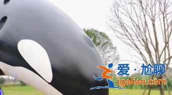 紅米k30s拍出照片太白是怎么回事？