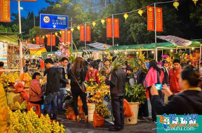 深圳迎春花市2021地址時間及攤位招標？
