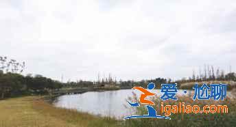 紅米k30s拍出照片太白是怎么回事？