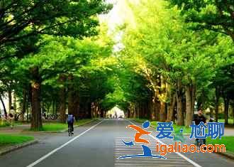 北海道5月旅游風景好嗎，5月去北海道路線？