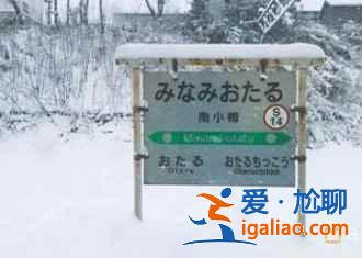 北海道5月旅游風景好嗎，5月去北海道路線？