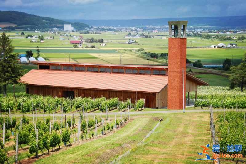 北海道旅行：葡萄酒愛好者天堂—北海道葡萄酒廠？