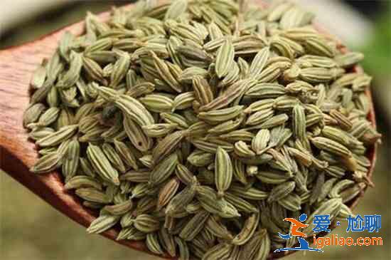 茴香籽怎么吃？