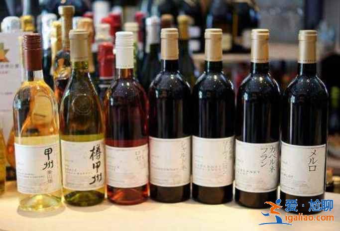 北海道旅行：葡萄酒愛好者天堂—北海道葡萄酒廠？