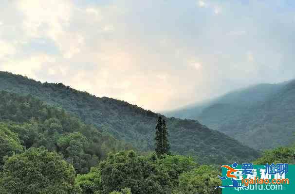 受疫情影響寧波北侖九峰山暫停對(duì)外開(kāi)放2022年1月？