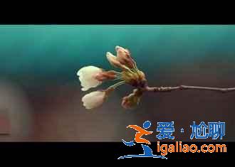 武漢有哪些寺廟，武漢香火最旺的寺廟，武漢佛教名寺？