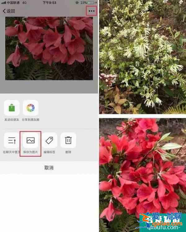 iphone怎么截長圖 蘋果手機(jī)怎么截長圖？