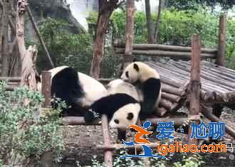 2019端午節(jié)成都周邊有什么好玩的，端午節(jié)成都周邊好去處？