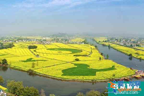 2021年潼南油菜花節(jié)攻略 潼南油菜花節(jié)時(shí)間？