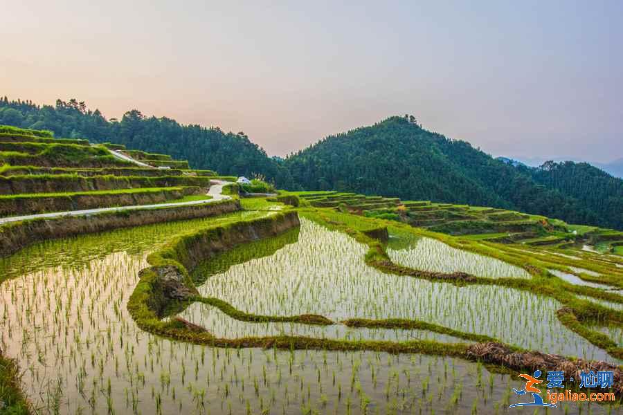 珠海周邊自駕游有哪些好去處，珠海周邊游目的地推薦？