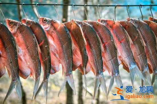 臘魚是什么魚？
