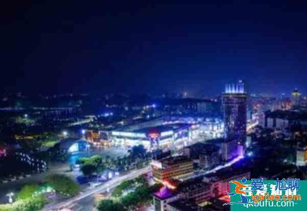 2021珠海迎春花市取消去哪買花？