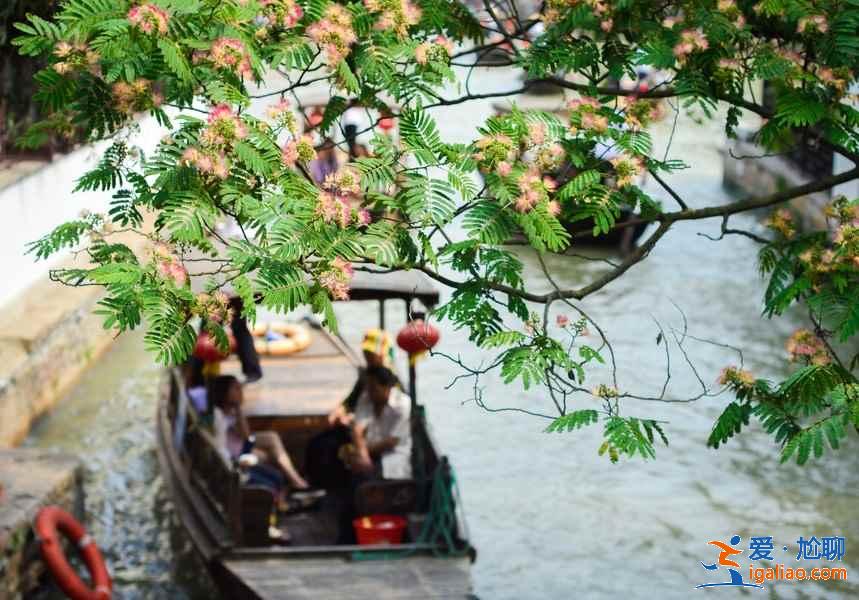 上海怎么玩，2019上海深度游，上海8日路線推薦？