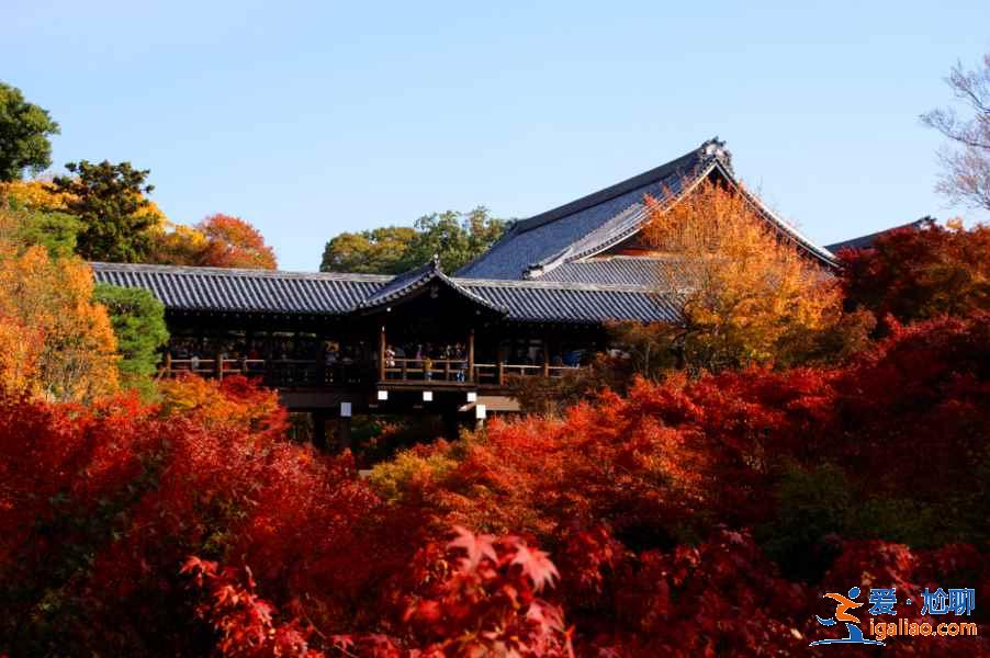 京都一日游怎么玩？京都一日游怎么安排？京都一日游推薦？