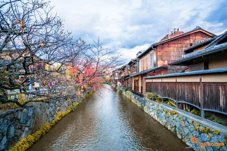京都一日游怎么玩？京都一日游怎么安排？京都一日游推薦？